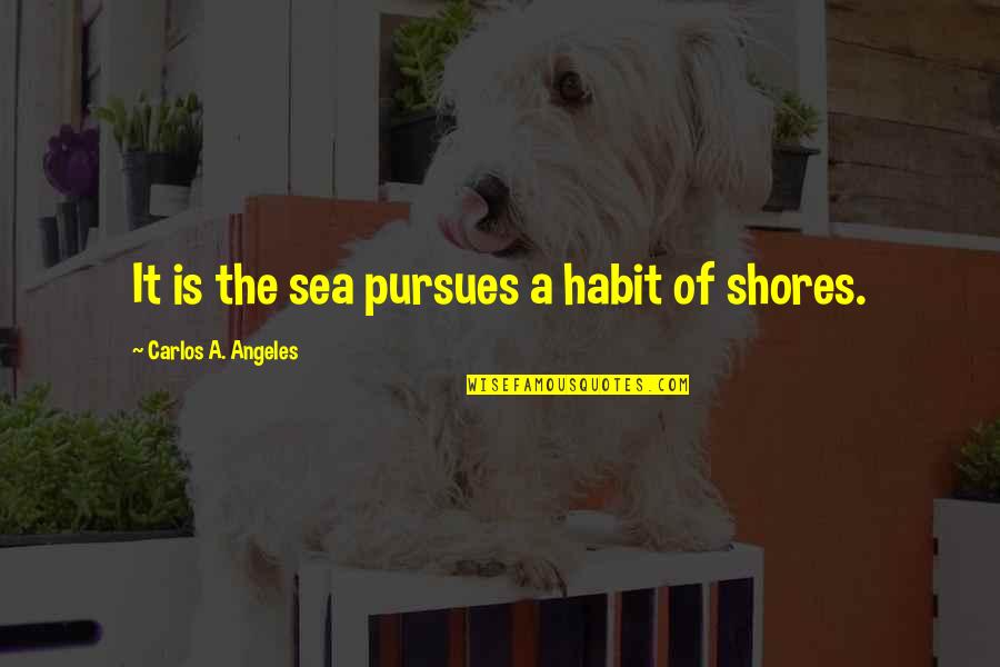 Inspirational Traumatic Brain Injury Quotes By Carlos A. Angeles: It is the sea pursues a habit of