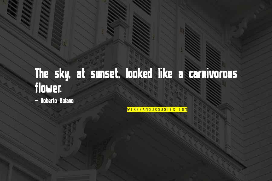 Inspirational Vietnamese Quotes By Roberto Bolano: The sky, at sunset, looked like a carnivorous