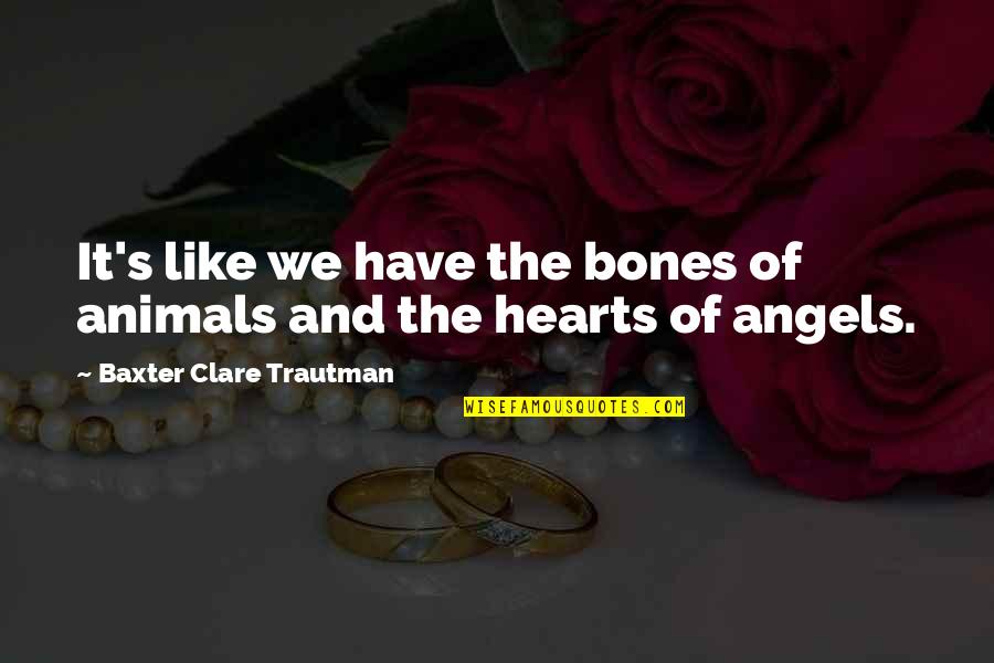 Inspirational War Quotes By Baxter Clare Trautman: It's like we have the bones of animals