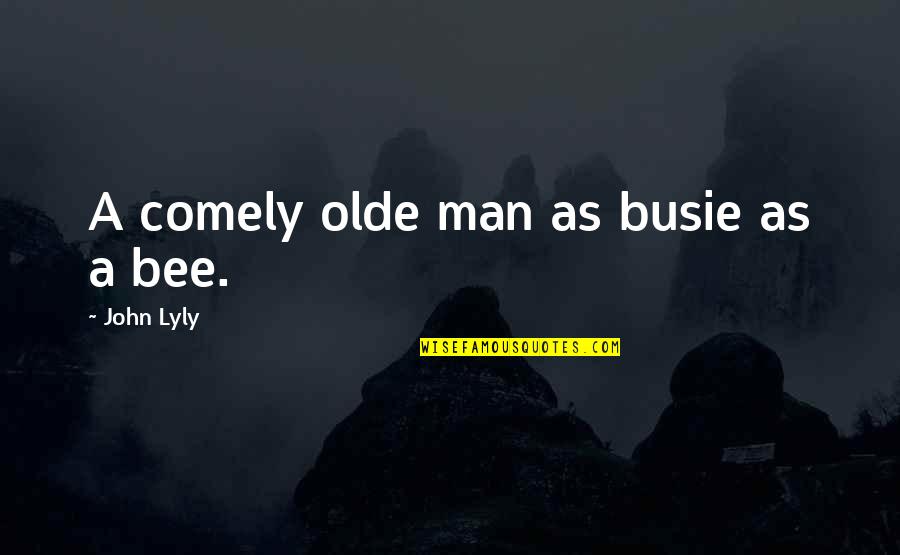 Inspire Your Soul Quotes By John Lyly: A comely olde man as busie as a
