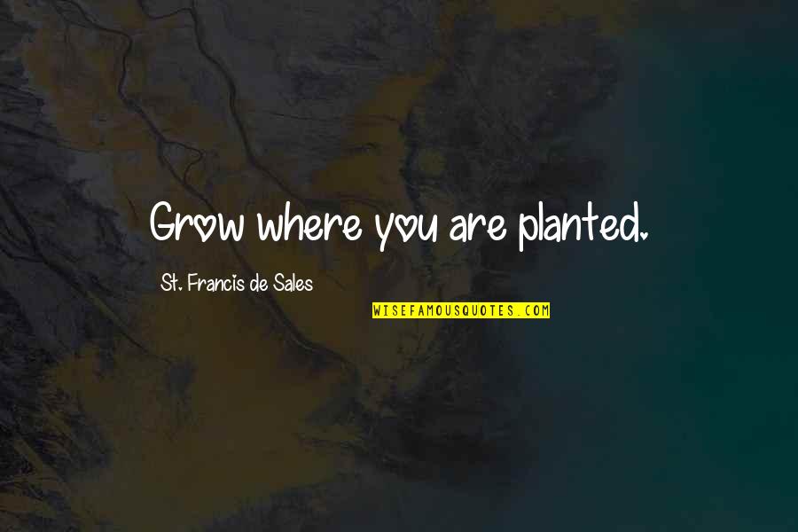 Inspired Thought Quotes By St. Francis De Sales: Grow where you are planted. Inspired Thought Quotes By St. Francis De Sales: Grow where you are planted.