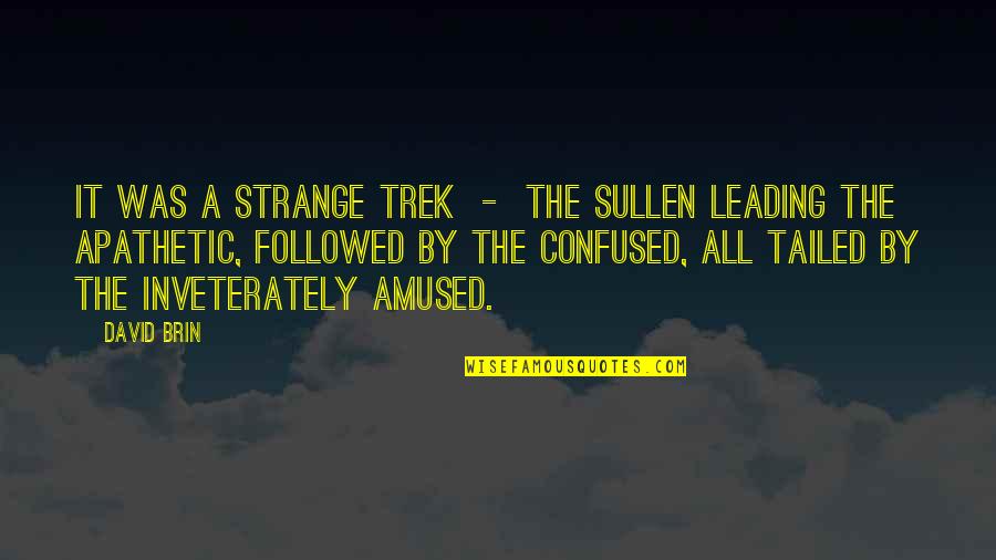 Inspirerende Kerst Quotes By David Brin: It was a strange trek - the sullen