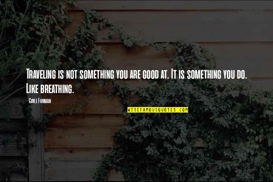 Inspiring Good Quotes By Gayle Forman: Traveling is not something you are good at.