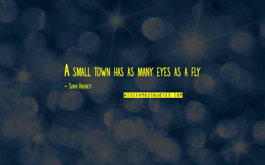 Inspiring Soja Quotes By Sonya Hartnett: A small town has as many eyes as