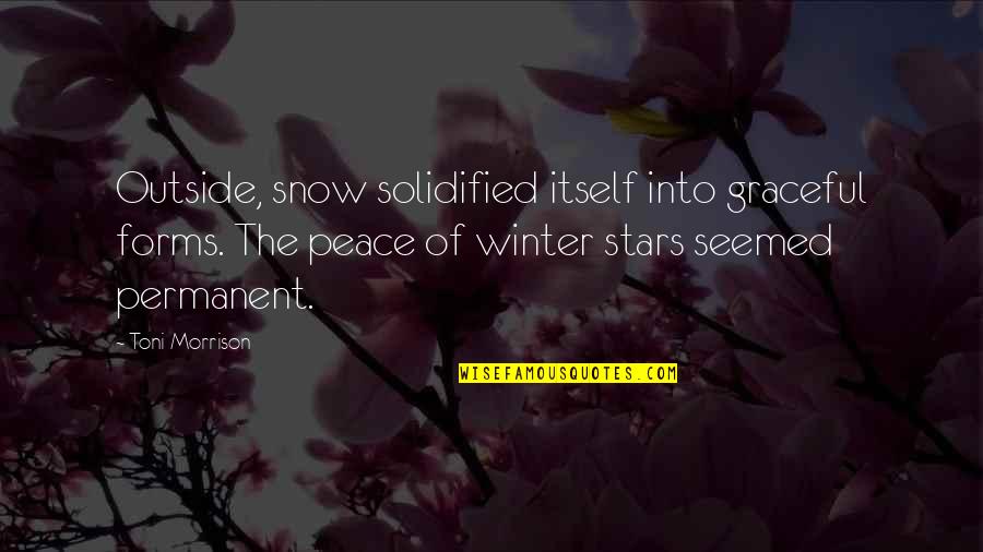 Inspiring Successful Quotes By Toni Morrison: Outside, snow solidified itself into graceful forms. The Inspiring Successful Quotes By Toni Morrison: Outside, snow solidified itself into graceful forms. The