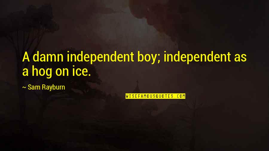 Inspiring Teacher Quote Quotes By Sam Rayburn: A damn independent boy; independent as a hog