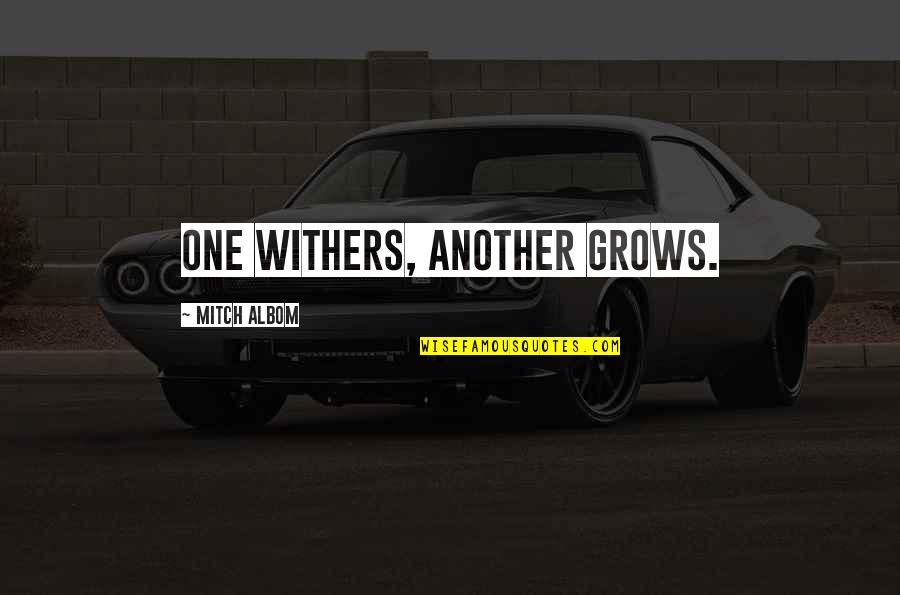 Inspiring Travel Quotes By Mitch Albom: One withers, another grows.