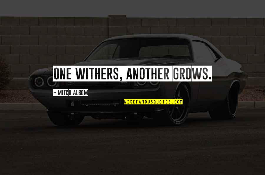 Inspiring Travel Quotes By Mitch Albom: One withers, another grows. Inspiring Travel Quotes By Mitch Albom: One withers, another grows.