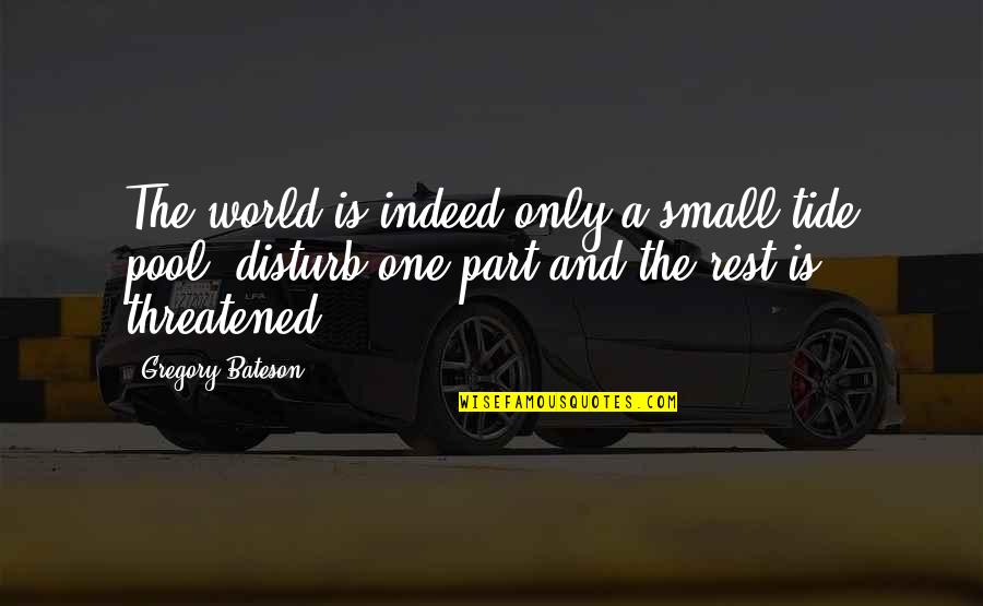 Inspiring West Wing Quotes By Gregory Bateson: The world is indeed only a small tide Inspiring West Wing Quotes By Gregory Bateson: The world is indeed only a small tide