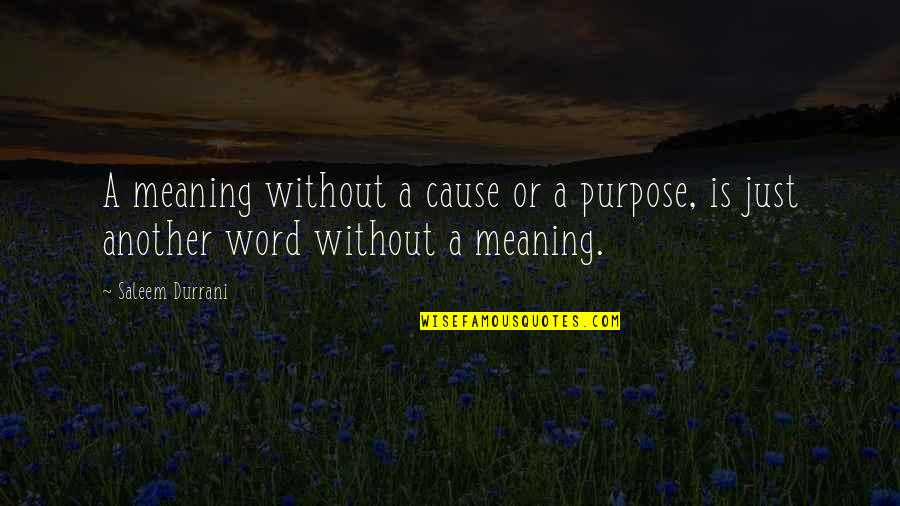 Inspiritional Quotes By Saleem Durrani: A meaning without a cause or a purpose,