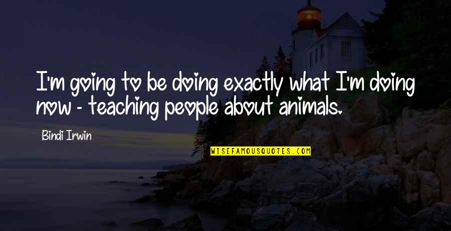 Inspiron Quotes By Bindi Irwin: I'm going to be doing exactly what I'm