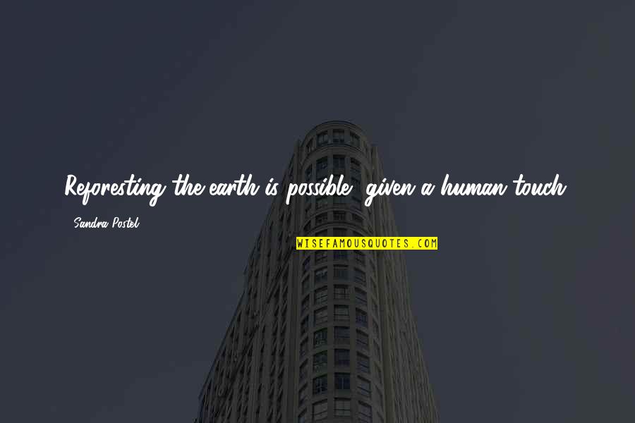 Instaforex Mobile Quotes By Sandra Postel: Reforesting the earth is possible, given a human