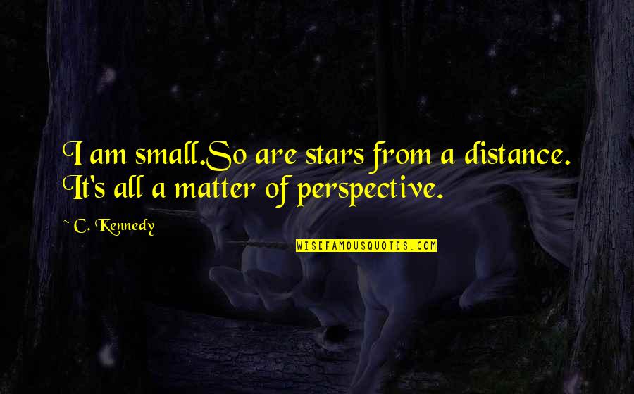 Instantiated Variable Quotes By C. Kennedy: I am small.So are stars from a distance.