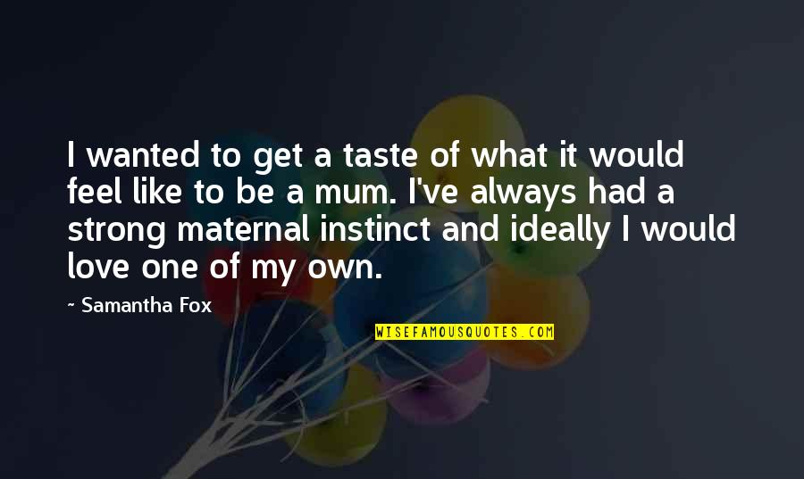 Instinct Love Quotes By Samantha Fox: I wanted to get a taste of what