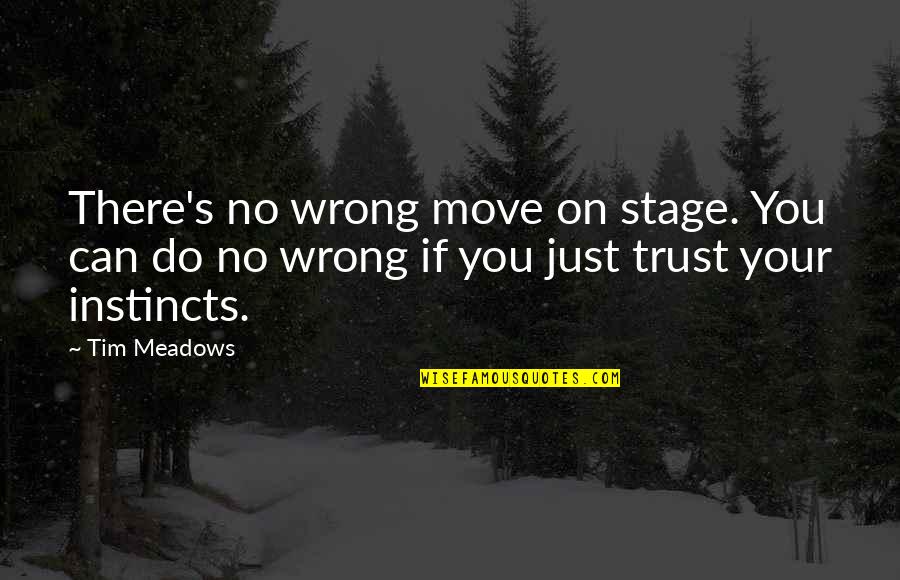 Instinct Quotes By Tim Meadows: There's no wrong move on stage. You can
