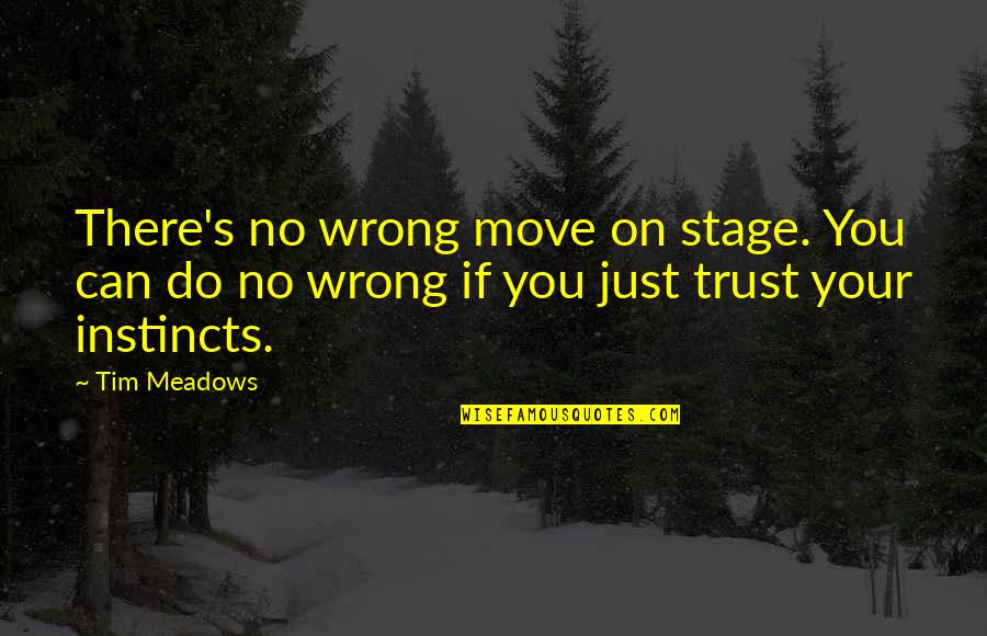 Instinct Trust Quotes By Tim Meadows: There's no wrong move on stage. You can
