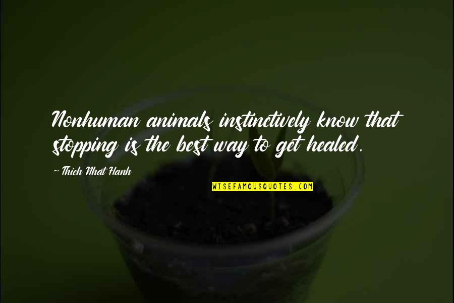 Instinctively Quotes By Thich Nhat Hanh: Nonhuman animals instinctively know that stopping is the