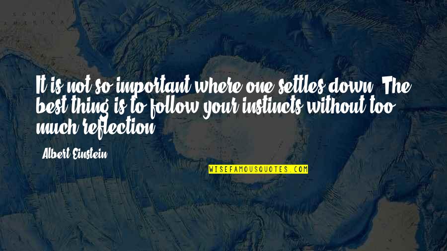 Instincts Best Quotes By Albert Einstein: It is not so important where one settles