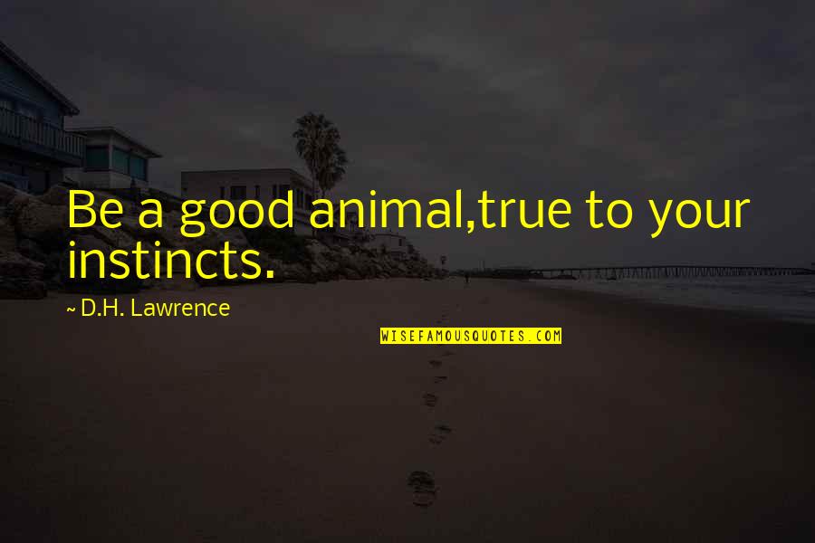 Instincts Best Quotes By D.H. Lawrence: Be a good animal,true to your instincts.