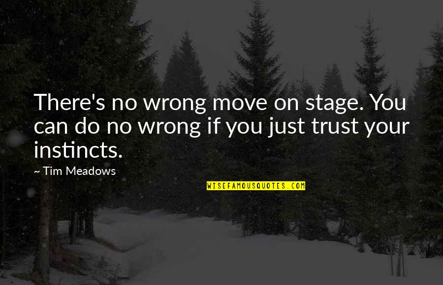 Instincts Best Quotes By Tim Meadows: There's no wrong move on stage. You can