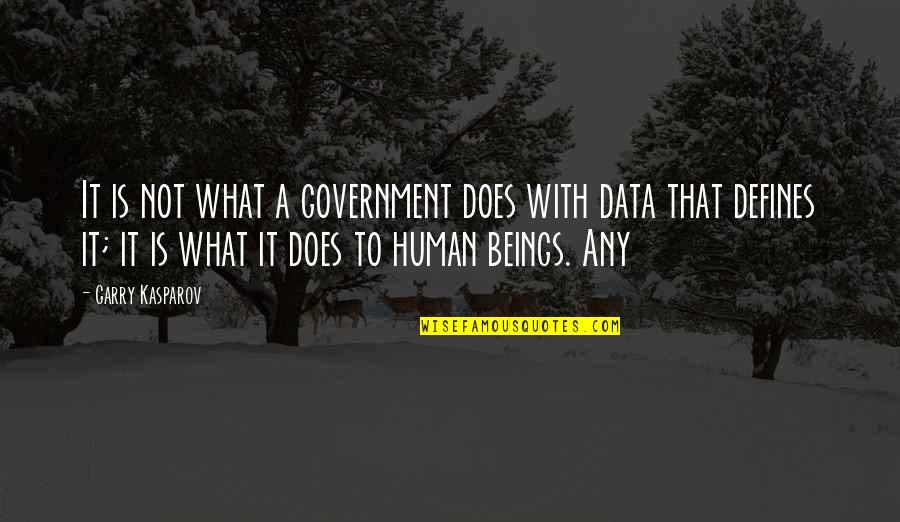 Instituido Definici N Quotes By Garry Kasparov: It is not what a government does with