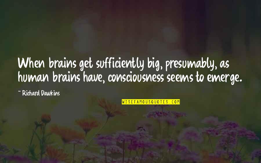 Institutional Excellence Quotes By Richard Dawkins: When brains get sufficiently big, presumably, as human Institutional Excellence Quotes By Richard Dawkins: When brains get sufficiently big, presumably, as human