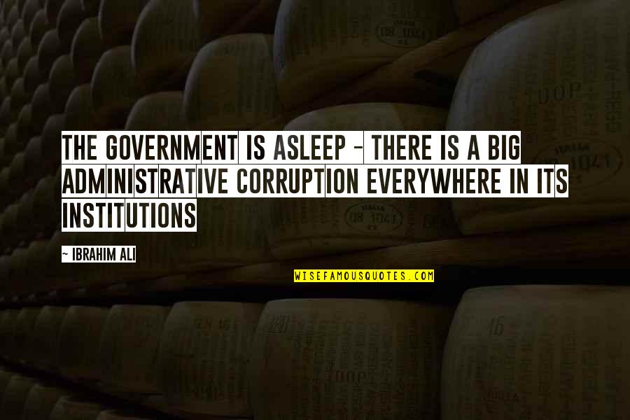 Institutions In Quotes By Ibrahim Ali: The government is asleep - there is a Institutions In Quotes By Ibrahim Ali: The government is asleep - there is a
