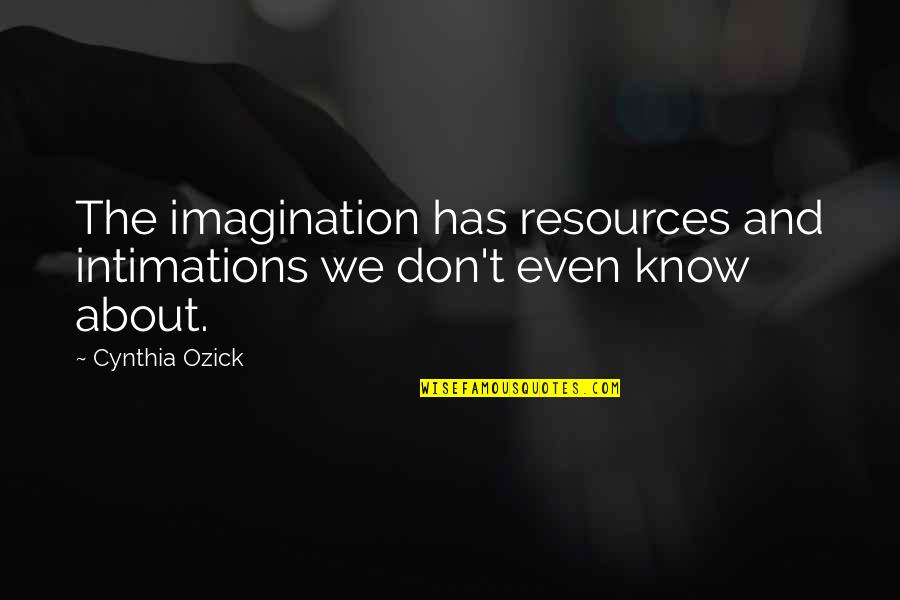 Institutionsare Quotes By Cynthia Ozick: The imagination has resources and intimations we don't