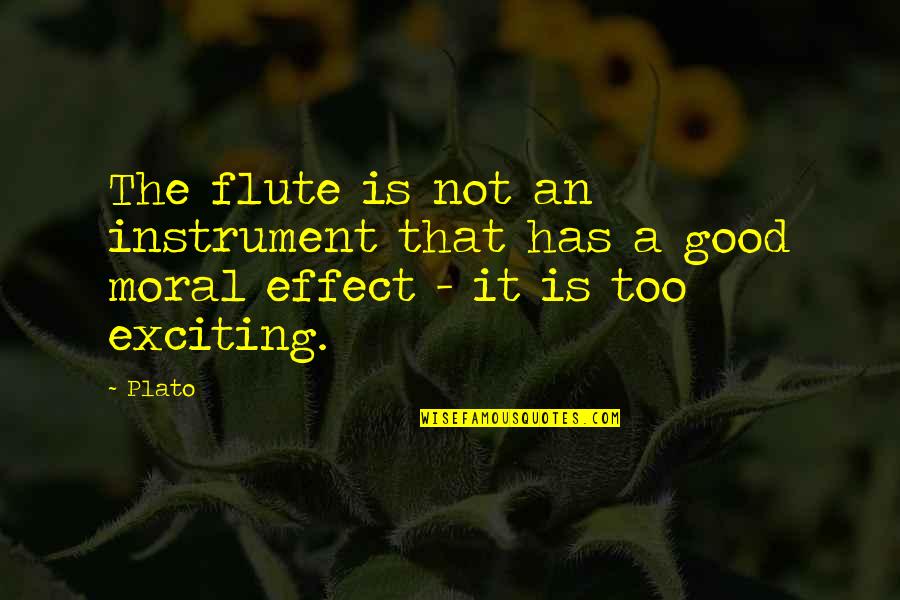 Instrument The Flute Quotes By Plato: The flute is not an instrument that has