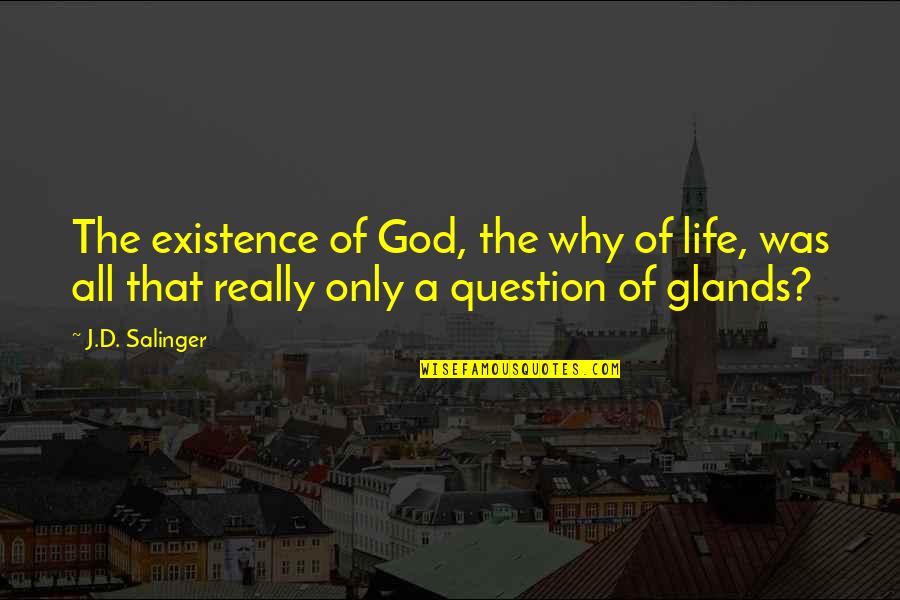Instrumentales Cristianos Quotes By J.D. Salinger: The existence of God, the why of life, Instrumentales Cristianos Quotes By J.D. Salinger: The existence of God, the why of life,