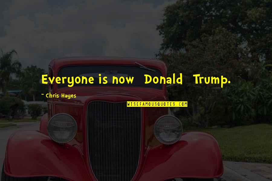 Instrumentalized Quotes By Chris Hayes: Everyone is now [Donald] Trump.