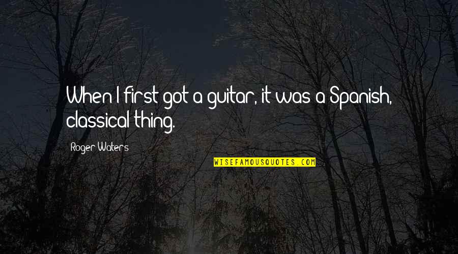 Insufflex Quotes By Roger Waters: When I first got a guitar, it was