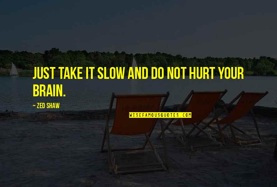 Insulted Me Quotes By Zed Shaw: Just take it slow and do not hurt