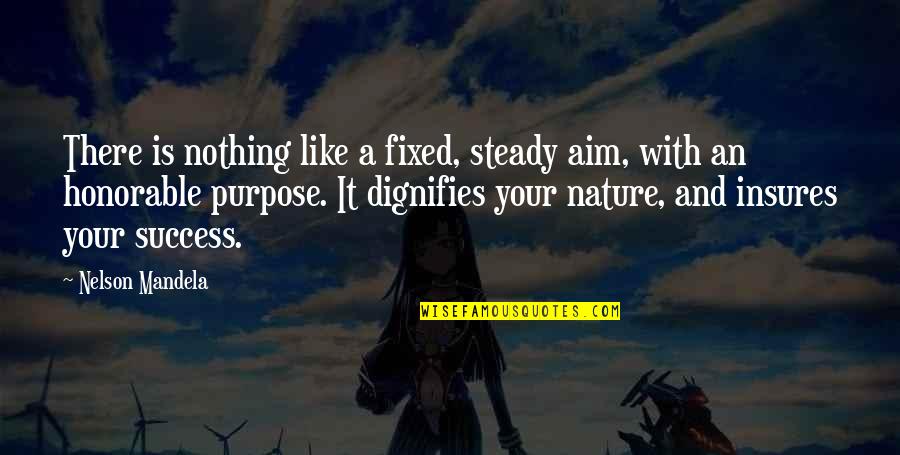 Insures Quotes By Nelson Mandela: There is nothing like a fixed, steady aim, Insures Quotes By Nelson Mandela: There is nothing like a fixed, steady aim,