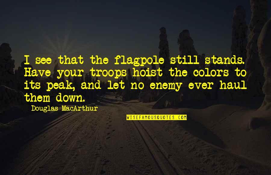 Insurgent Evelyn Quotes By Douglas MacArthur: I see that the flagpole still stands. Have