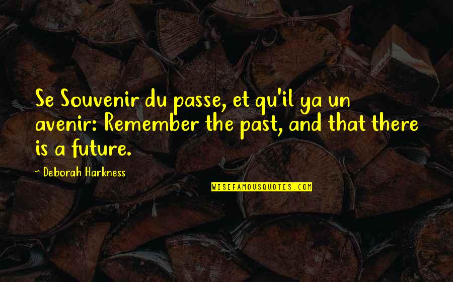 Inswinger And Outswinger Quotes By Deborah Harkness: Se Souvenir du passe, et qu'il ya un