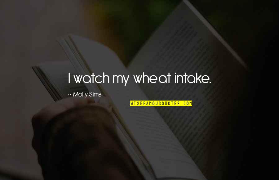 Intake Quotes By Molly Sims: I watch my wheat intake.