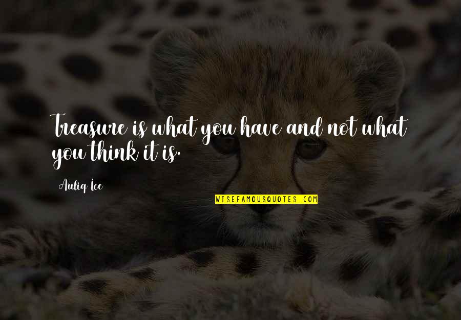 Intelius Quotes By Auliq Ice: Treasure is what you have and not what