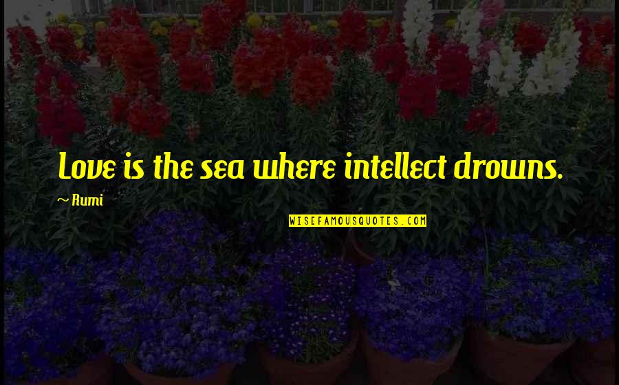 Intellect And Love Quotes By Rumi: Love is the sea where intellect drowns.