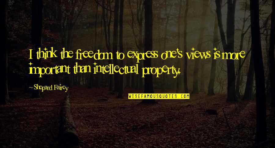 Intellectual Freedom Quotes By Shepard Fairey: I think the freedom to express one's views