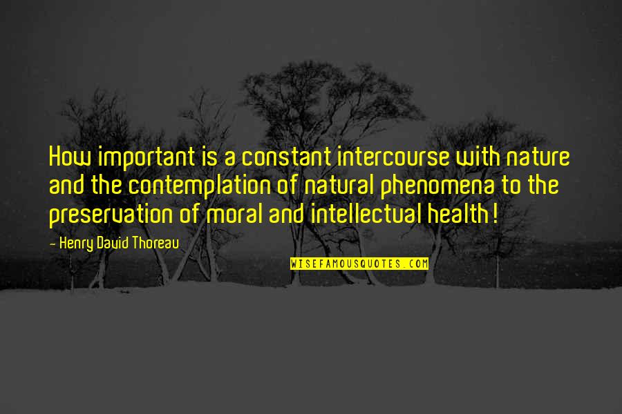 Intellectual Intercourse Quotes By Henry David Thoreau: How important is a constant intercourse with nature