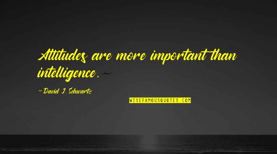 Intelligence And Attitude Quotes By David J. Schwartz: Attitudes are more important than intelligence.