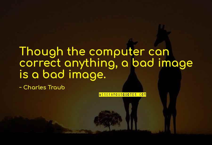 Intelligence And Learning Quotes By Charles Traub: Though the computer can correct anything, a bad