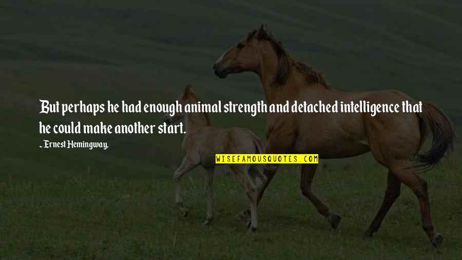 Intelligence And Strength Quotes By Ernest Hemingway,: But perhaps he had enough animal strength and