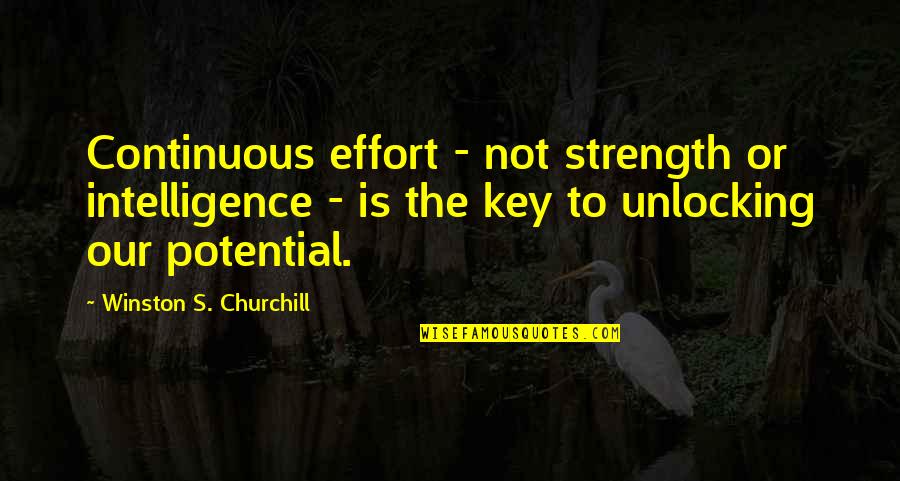 Intelligence And Strength Quotes By Winston S. Churchill: Continuous effort - not strength or intelligence -