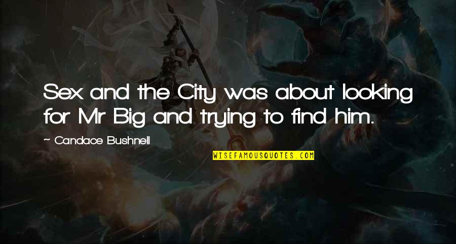 Intelligence Over Looks Quotes By Candace Bushnell: Sex and the City was about looking for Intelligence Over Looks Quotes By Candace Bushnell: Sex and the City was about looking for
