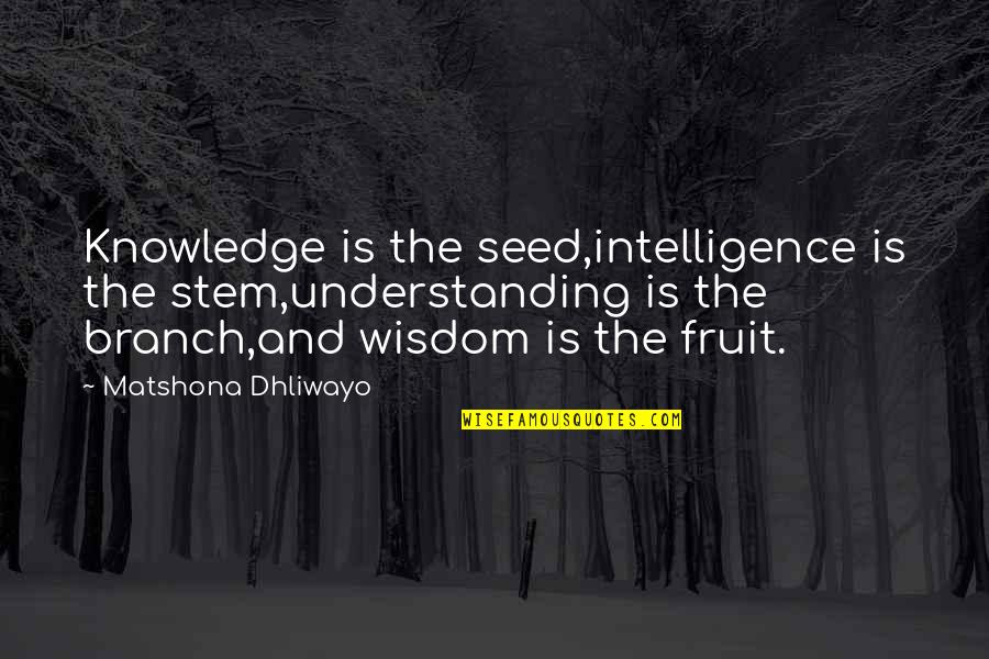Intelligence Quotes And Quotes By Matshona Dhliwayo: Knowledge is the seed,intelligence is the stem,understanding is
