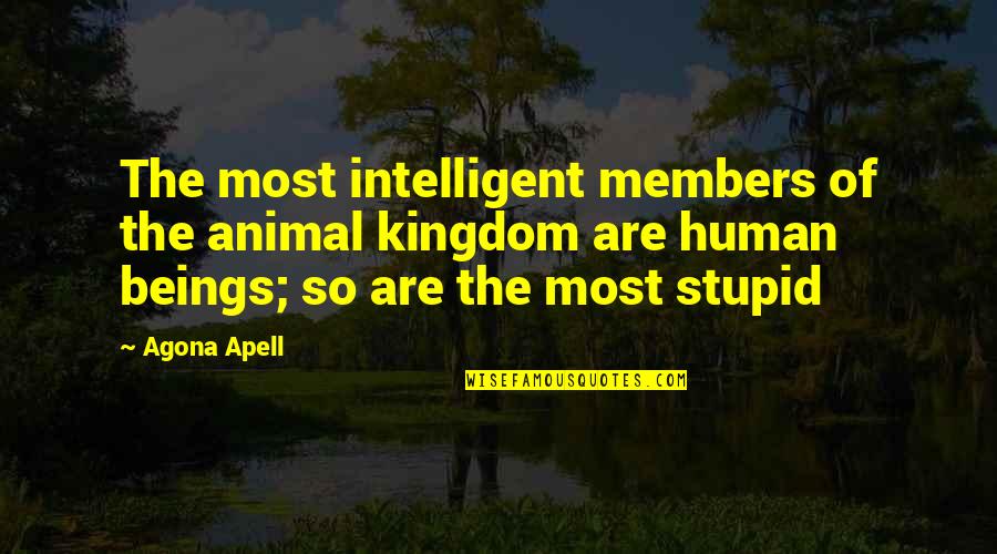 Intelligent And Stupid Quotes By Agona Apell: The most intelligent members of the animal kingdom