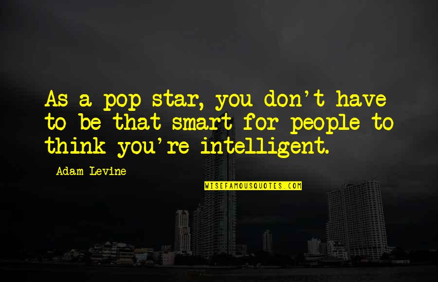 Intelligent People Quotes By Adam Levine: As a pop star, you don't have to