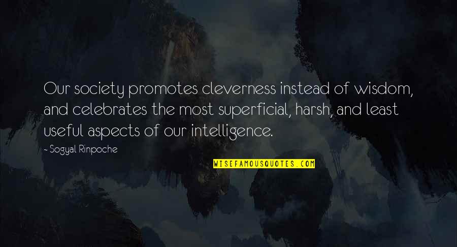 Intelligent Short Quotes By Sogyal Rinpoche: Our society promotes cleverness instead of wisdom, and